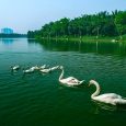 Kham pha cong vien Ho Thien Nga Ecopark 6 min