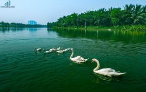 Khu Biệt thự Mimosa Ecopark Gần Kề Sân Golf 18 Lỗ