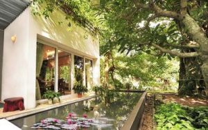 Biệt thự Vườn Mai Ecopark