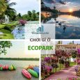 choi gi o ecopark min