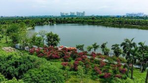 Công Viên Hồ Thiên Nga Ecopark