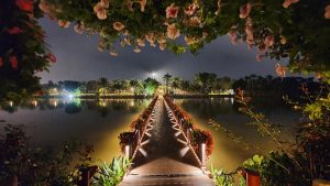 Bộ Ảnh Công Viên Hồ Thiên Nga Ecopark Về Đêm