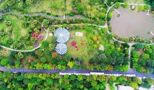 cong vien mua xuan ecopark 1168 min