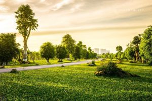 Cẩm Nang Chơi Gì Ở Ecopark 8 Cẩm Nang Chơi Gì Ở Ecopark