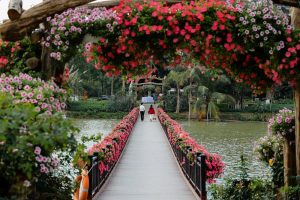 Công Viên Hồ Thiên Nga Ecopark