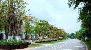 Nhà Phố Liền Kề Ecopark