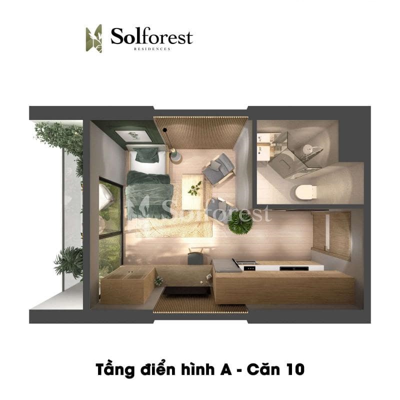 can ho solforest ecopark studio min